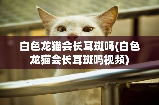白色龍貓會長耳斑嗎(白色龍貓會長耳斑嗎視頻)