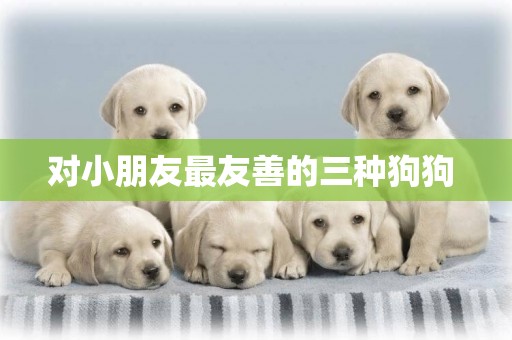對小朋友最友善的三種狗狗 