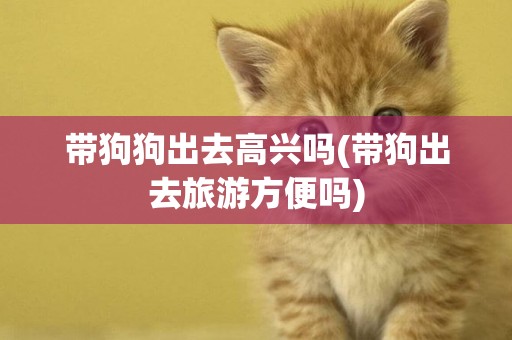 帶狗狗出去高興嗎(帶狗出去旅游方便嗎)