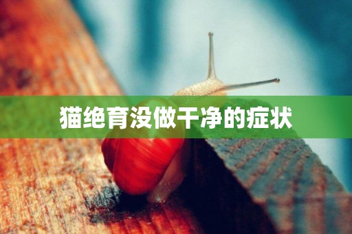 貓絕育沒做干凈的癥狀