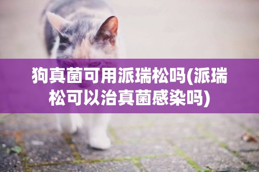 狗真菌可用派瑞松嗎(派瑞松可以治真菌感染嗎)