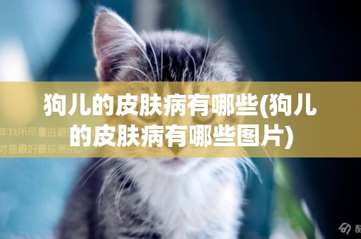 狗兒的皮膚病有哪些(狗兒的皮膚病有哪些圖片)