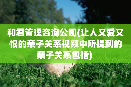 和君管理咨詢公司(讓人又愛又恨的親子關系視頻中所提到的親子關系包括) 