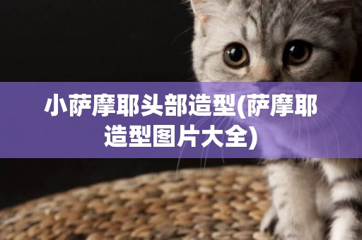 小薩摩耶頭部造型(薩摩耶造型圖片大全)