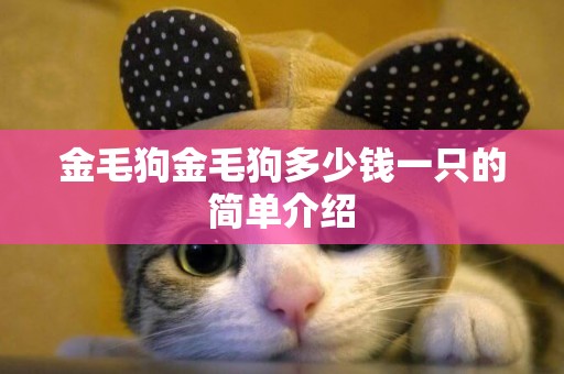 金毛狗金毛狗多少錢一只的簡單介紹