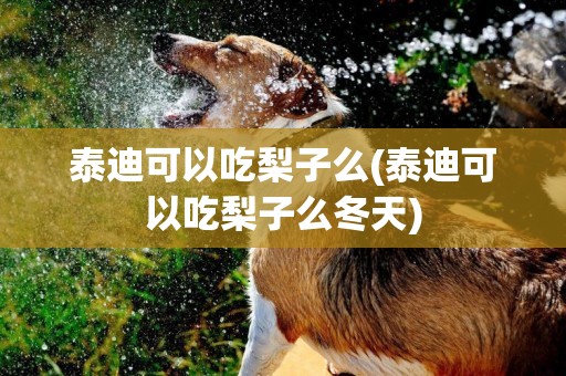 泰迪可以吃梨子么(泰迪可以吃梨子么冬天)