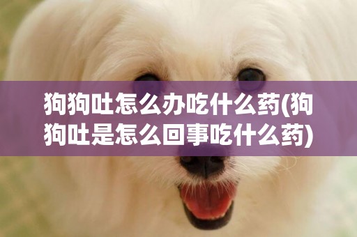 狗狗吐怎么辦吃什么藥(狗狗吐是怎么回事吃什么藥)