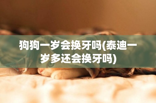 狗狗一歲會換牙嗎(泰迪一歲多還會換牙嗎)