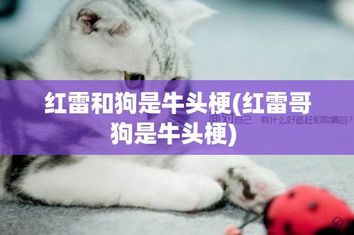紅雷和狗是牛頭梗(紅雷哥狗是牛頭梗) 