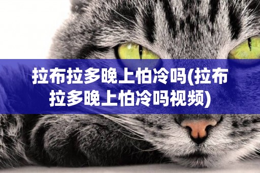 拉布拉多晚上怕冷嗎(拉布拉多晚上怕冷嗎視頻)