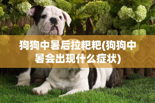 狗狗中暑后拉粑粑(狗狗中暑會出現什么癥狀)