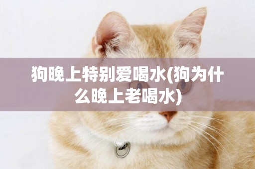 狗晚上特別愛喝水(狗為什么晚上老喝水)