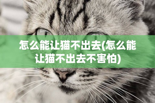 怎么能讓貓不出去(怎么能讓貓不出去不害怕)