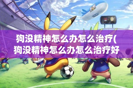 狗沒精神怎么辦怎么治療(狗沒精神怎么辦怎么治療好)