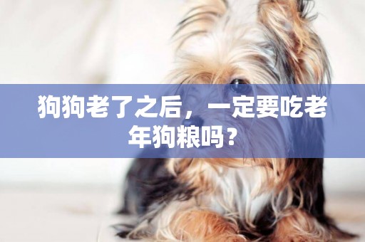 狗狗老了之后，一定要吃老年狗糧嗎？