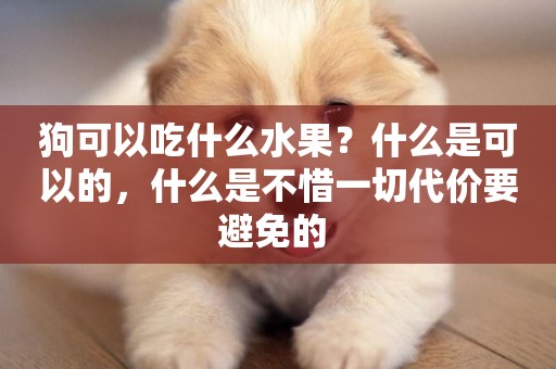 狗可以吃什么水果？什么是可以的，什么是不惜一切代價要避免的 