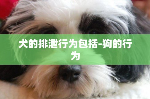 犬的排泄行為包括-狗的行為