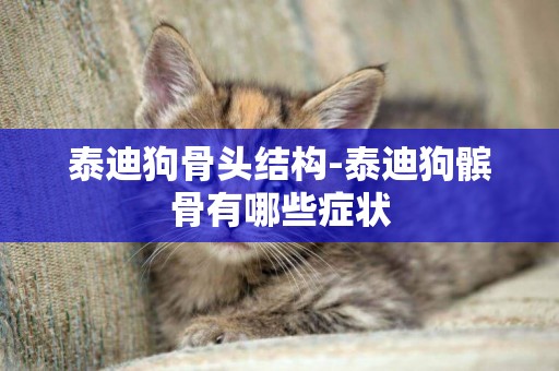 泰迪狗骨頭結構-泰迪狗髕骨有哪些癥狀