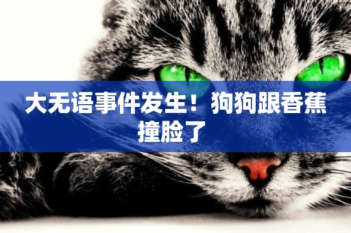 大無語事件發生！狗狗跟香蕉撞臉了 
