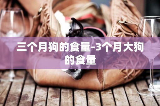 三個月狗的食量-3個月大狗的食量