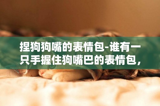 捏狗狗嘴的表情包-誰有一只手握住狗嘴巴的表情包，求分享