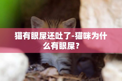 貓有眼屎還吐了-貓咪為什么有眼屎？