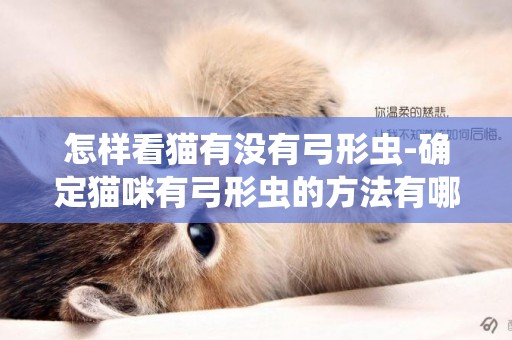 怎樣看貓有沒有弓形蟲-確定貓咪有弓形蟲的方法有哪些？