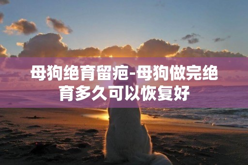 母狗絕育留疤-母狗做完絕育多久可以恢復好