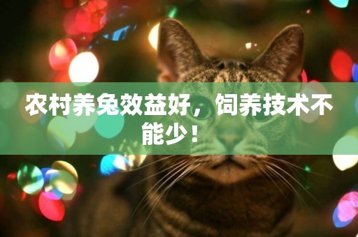 農村養兔效益好，飼養技術不能少！ 