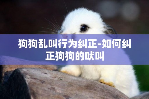 狗狗亂叫行為糾正-如何糾正狗狗的吠叫