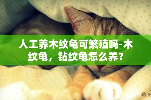人工養木紋龜可繁殖嗎-木紋龜，鉆紋龜怎么養？