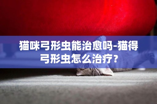 貓咪弓形蟲能治愈嗎-貓得弓形蟲怎么治療？