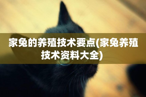 家兔的養殖技術要點(家兔養殖技術資料大全) 