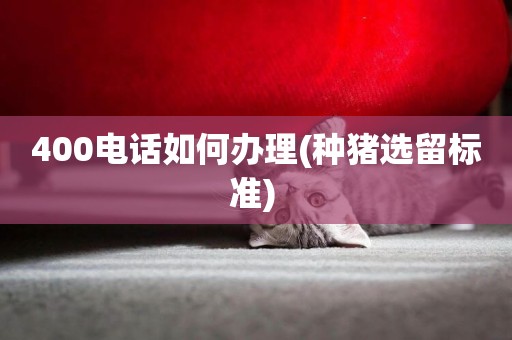 400電話如何辦理(種豬選留標準) 