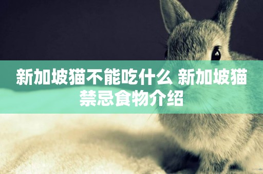 新加坡貓不能吃什么 新加坡貓禁忌食物介紹
