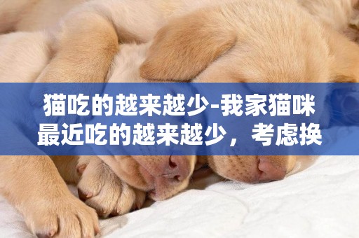 貓吃的越來越少-我家貓咪最近吃的越來越少，考慮換個牌子，什么貓糧好，偉嘉怎樣?