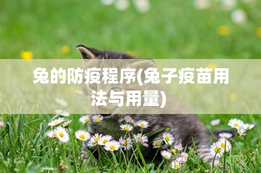 兔的防疫程序(兔子疫苗用法與用量) 