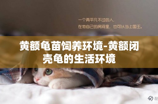 黃額龜苗飼養環境-黃額閉殼龜的生活環境