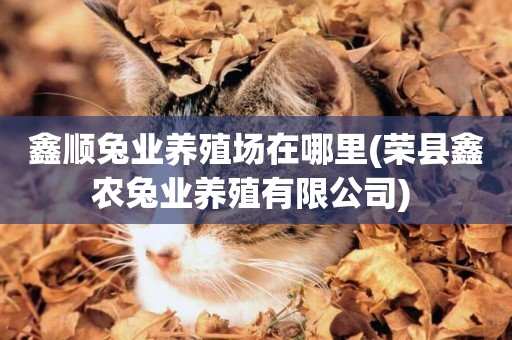鑫順兔業養殖場在哪里(榮縣鑫農兔業養殖有限公司) 
