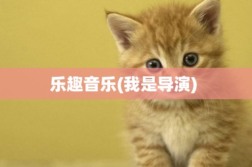 樂趣音樂(我是導演) 