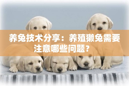 養兔技術分享：養殖獺兔需要注意哪些問題？ 