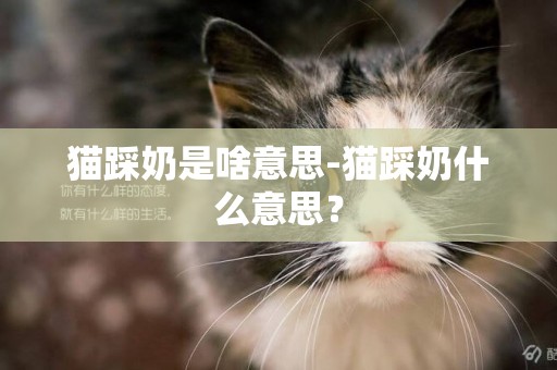 貓踩奶是啥意思-貓踩奶什么意思？