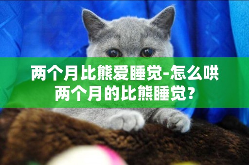 兩個月比熊愛睡覺-怎么哄兩個月的比熊睡覺？