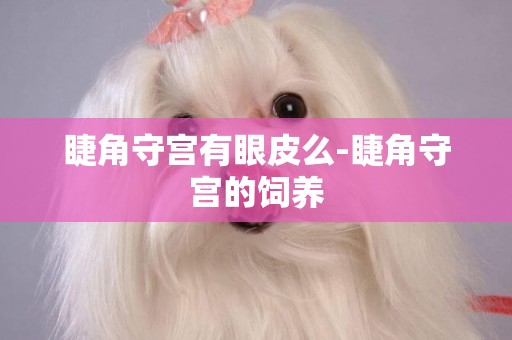 睫角守宮有眼皮么-睫角守宮的飼養