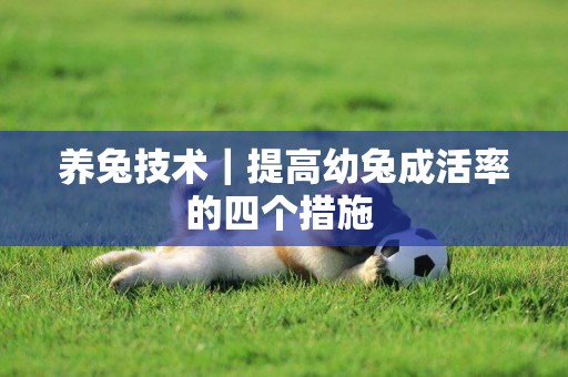 養兔技術｜提高幼兔成活率的四個措施 