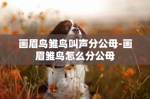 畫眉鳥雛鳥叫聲分公母-畫眉雛鳥怎么分公母