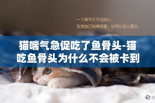 貓喘氣急促吃了魚骨頭-貓吃魚骨頭為什么不會被卡到呢