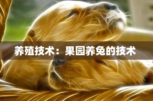 養殖技術：果園養兔的技術 