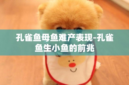 孔雀魚母魚難產表現-孔雀魚生小魚的前兆