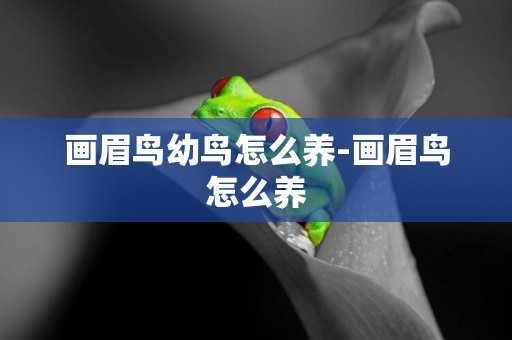 畫眉鳥幼鳥怎么養-畫眉鳥怎么養